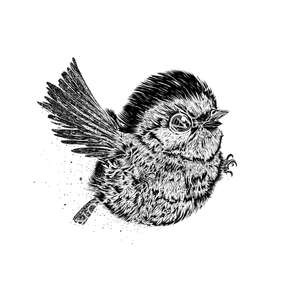 Oiseau